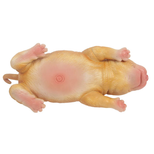 Pupsy 18CM  Full Silicone Reborn Dog Doll